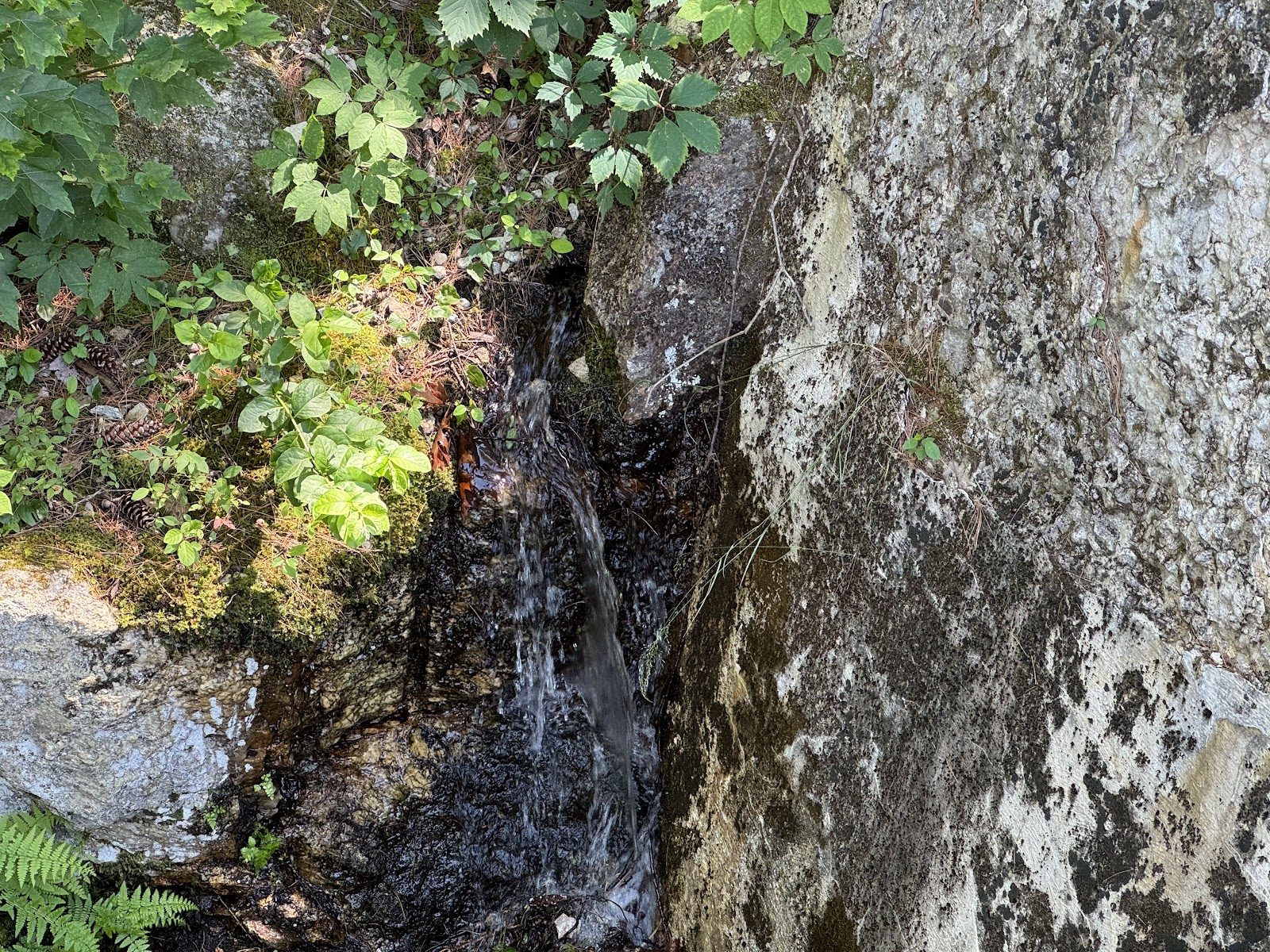 Drawdown No. 1: Addressing the Abutment Leak